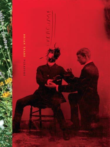 Cover of Pleasure