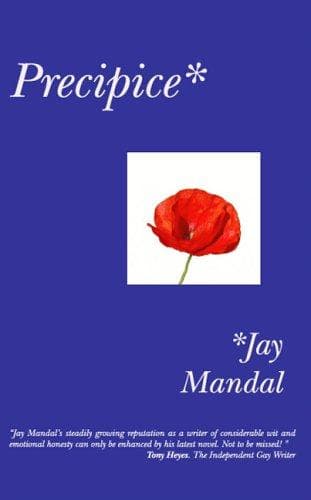 Cover of Precipice