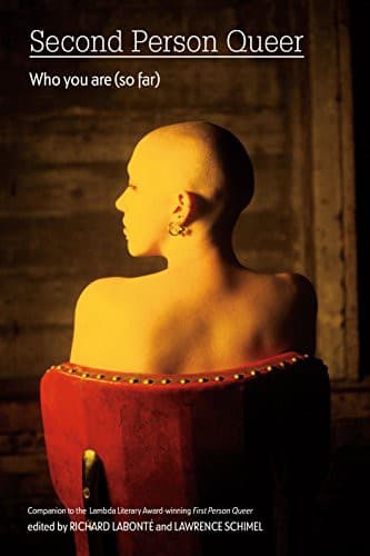Cover of Second person queer