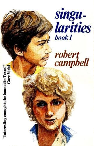 Cover of Singularities.