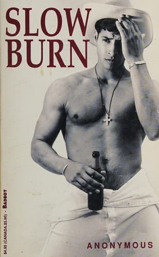 Cover of Slow Burn