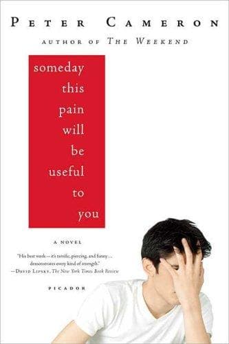 Cover of Someday this pain will be useful to you
