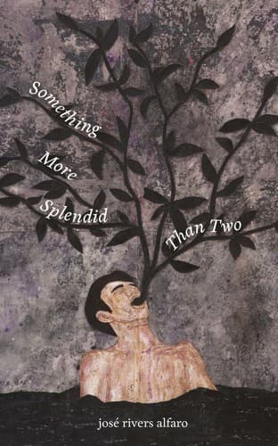 Cover of Something More Splendid Than Two
