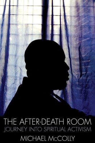 Cover of The after-death room