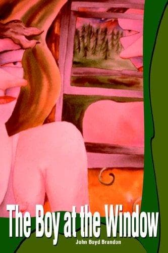 Cover of The Boy at the Window