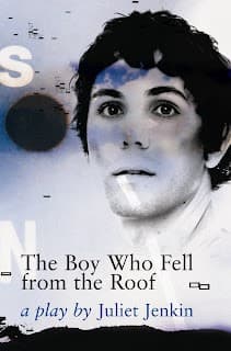 Cover of The boy who fell from the roof