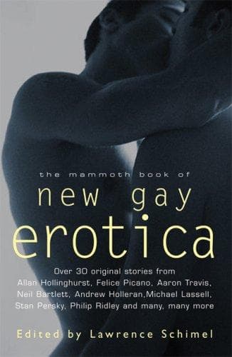 Cover of The mammoth book of new gay erotica