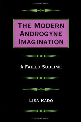 Cover of The modern androgyne imagination