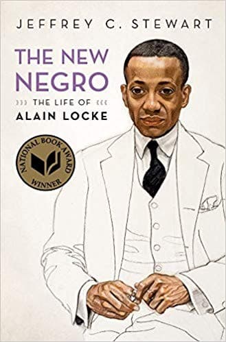 Cover of The new Negro