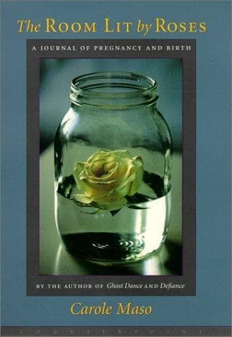 Cover of The Room Lit by Roses
