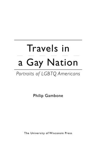Cover of Travels in a gay nation