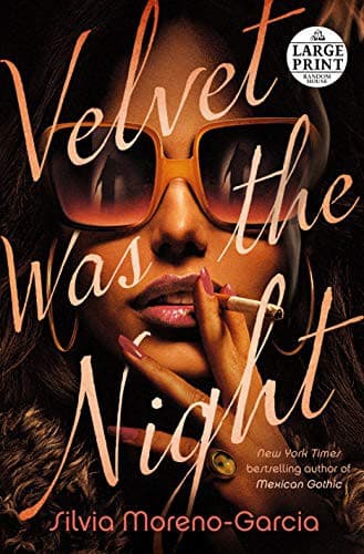 Cover of Velvet Was the Night