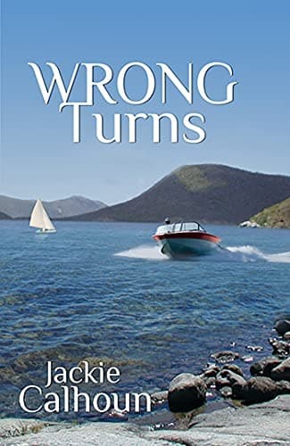 Cover of Wrong turns